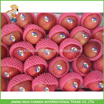 Exportación de las formas convencionales de China Fruit Grade A Apple fresco Yantai Fuji Fruta de manzana con el mejor precio